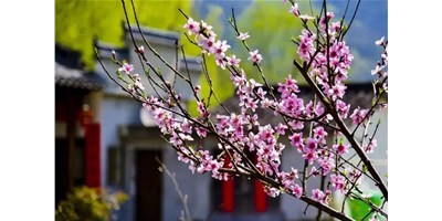 陽春三月，臺群精機一大波展會即將來襲，您準(zhǔn)備好了嗎？