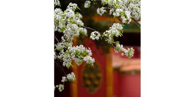 【展會資訊】臺群精機5月展會一覽，等您來參觀！